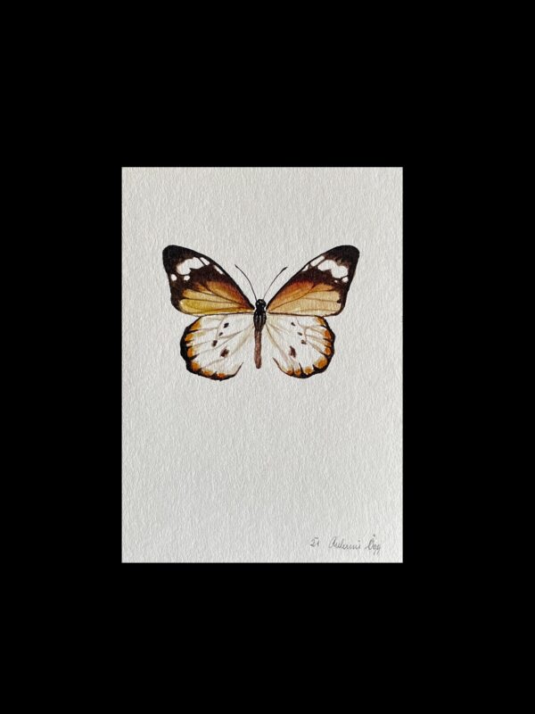 Postkarte Butterfly